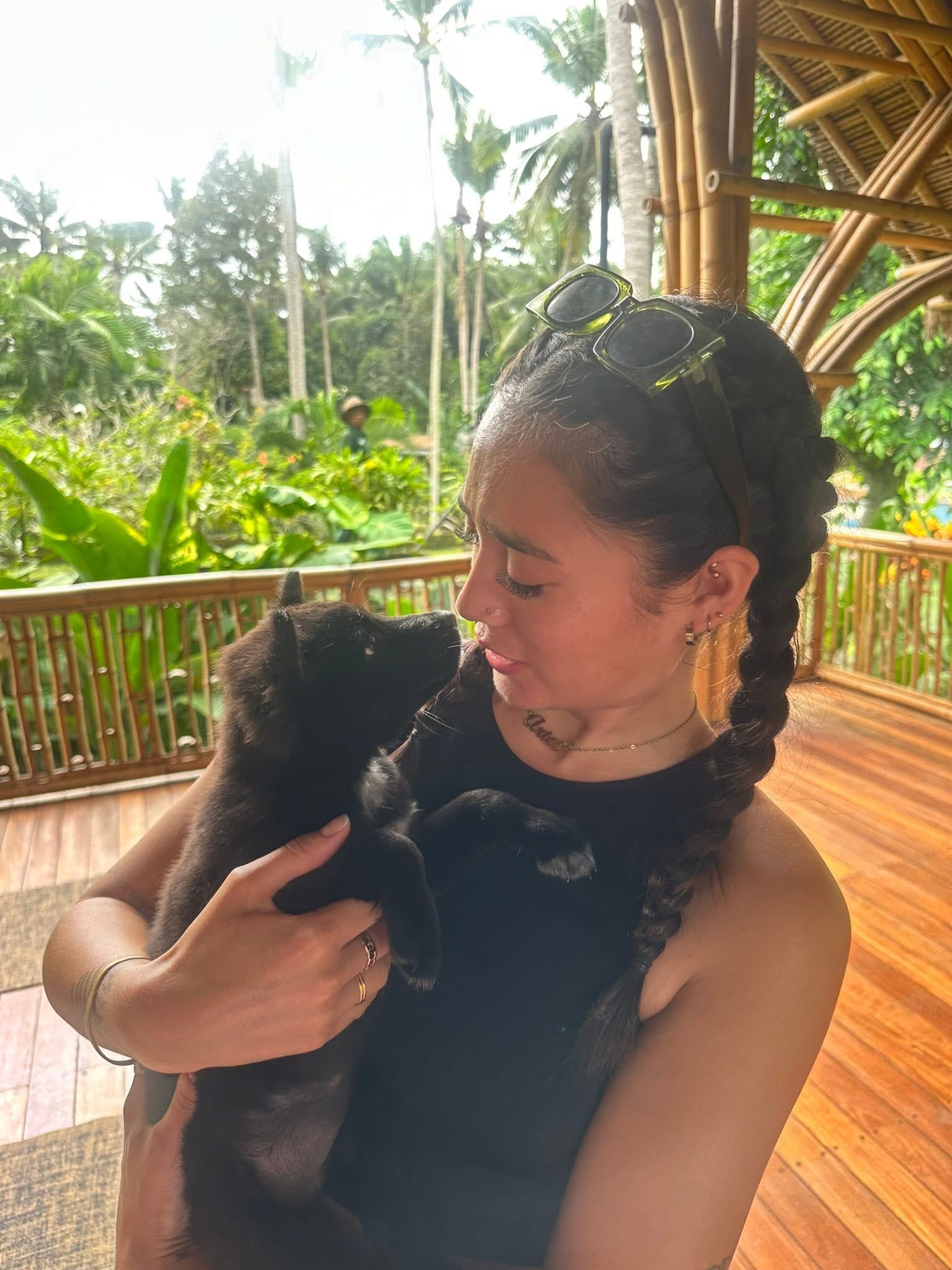 Puppy Socialisation