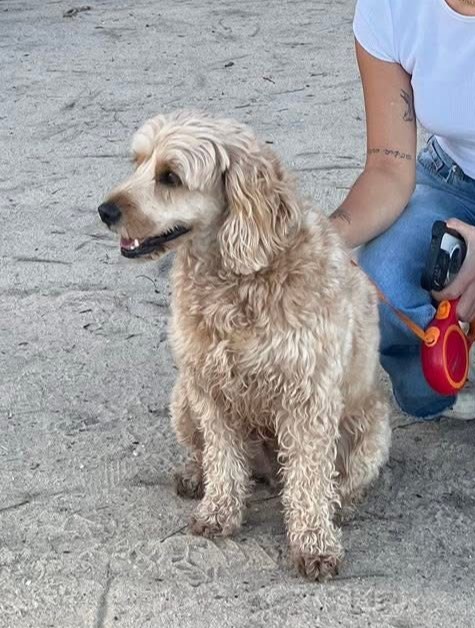 Bailey