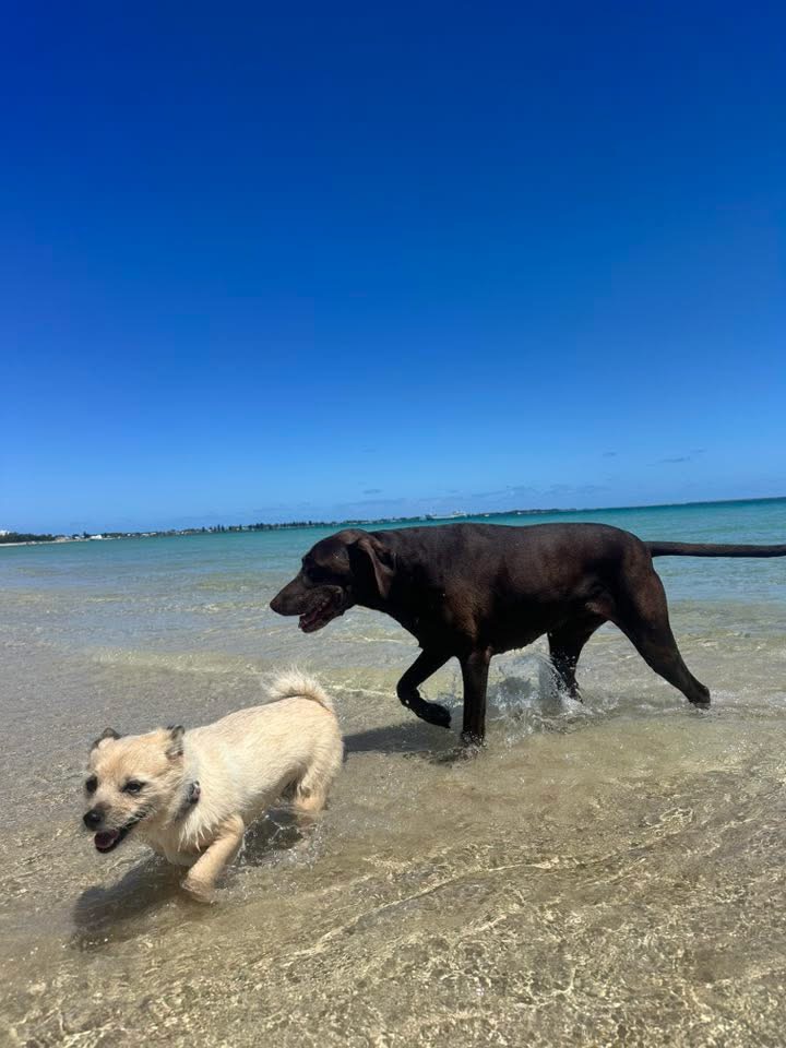 Jet and Louis